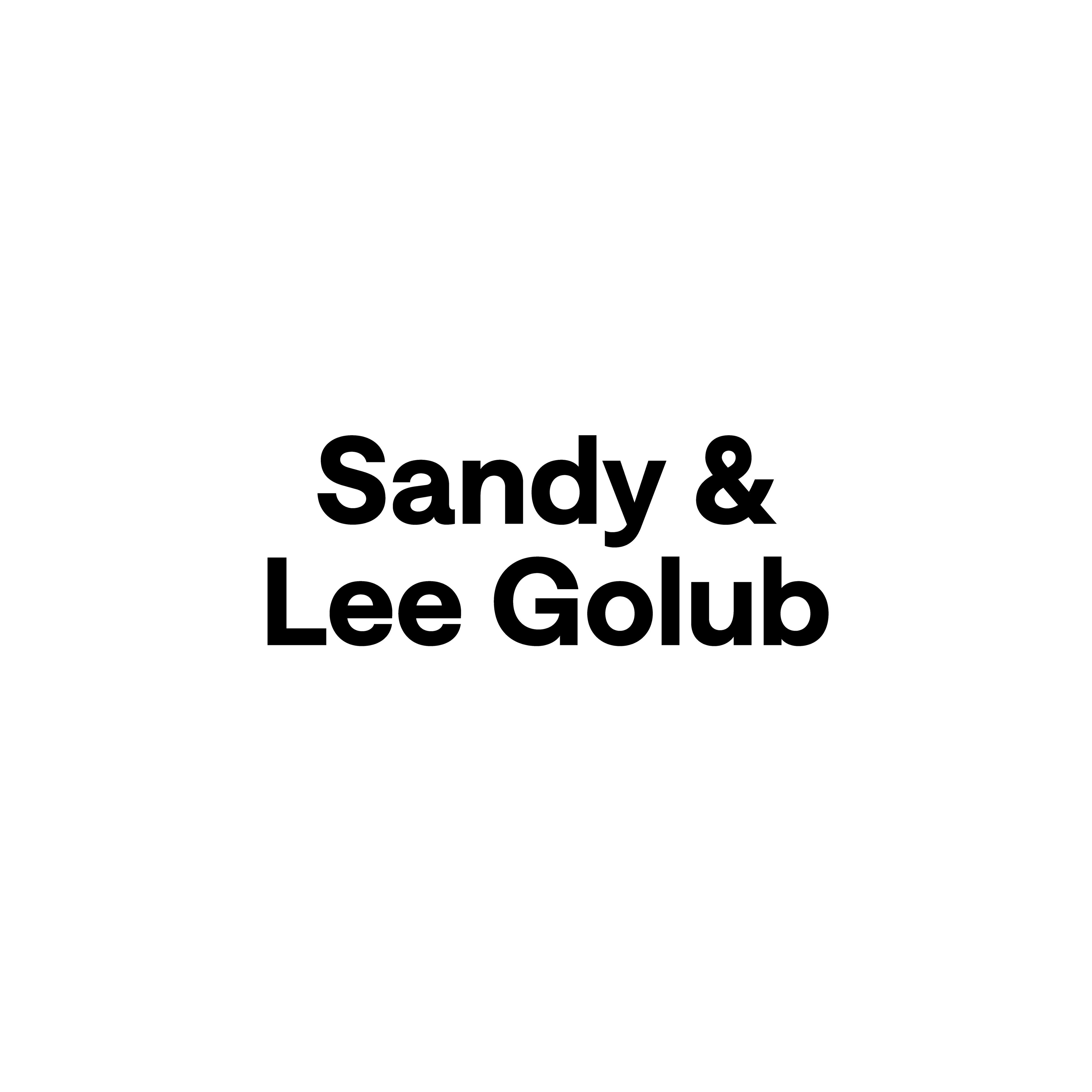 Sandy and Lee Golub
