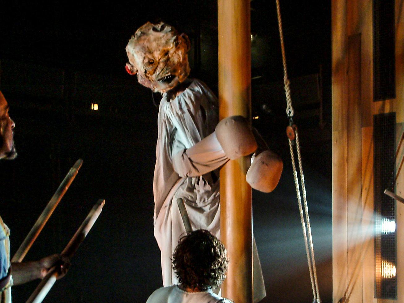 A Monstrous Boxer Amycus